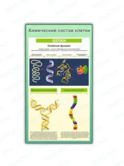 Школьный стенд биология Строение клетки 99 на 75 см
