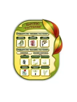 Школьный стенд биология царство растений 99 на 75 см