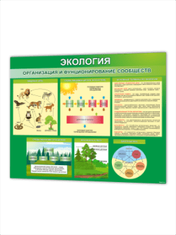 Школьный стенд в кабинет биологии Экология 99 на 75 см
