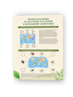 Происхождение1