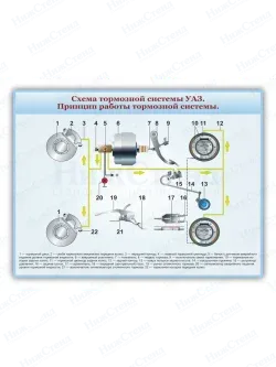 Стенд информационный для автошколы строение тормоза 75*99 см