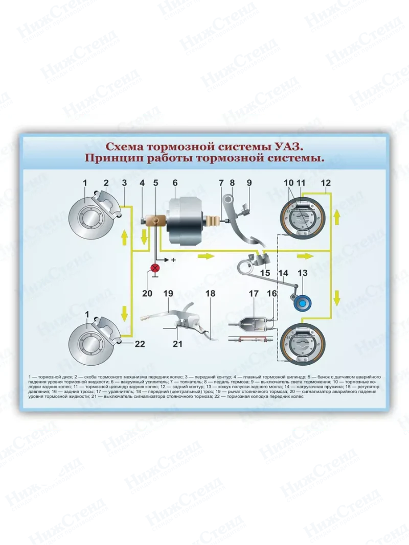 Стенд информационный для автошколы строение тормоза 75*99 см