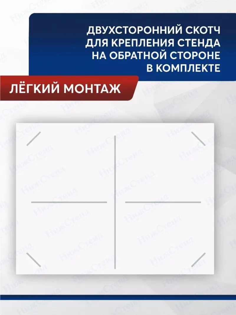 Школьный стенд биология Строение клетки 99 на75 см — изображение 6