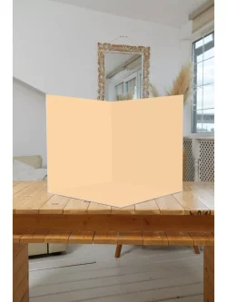 Фотофон угловой 40/40 см безбликовый для предметной съемки