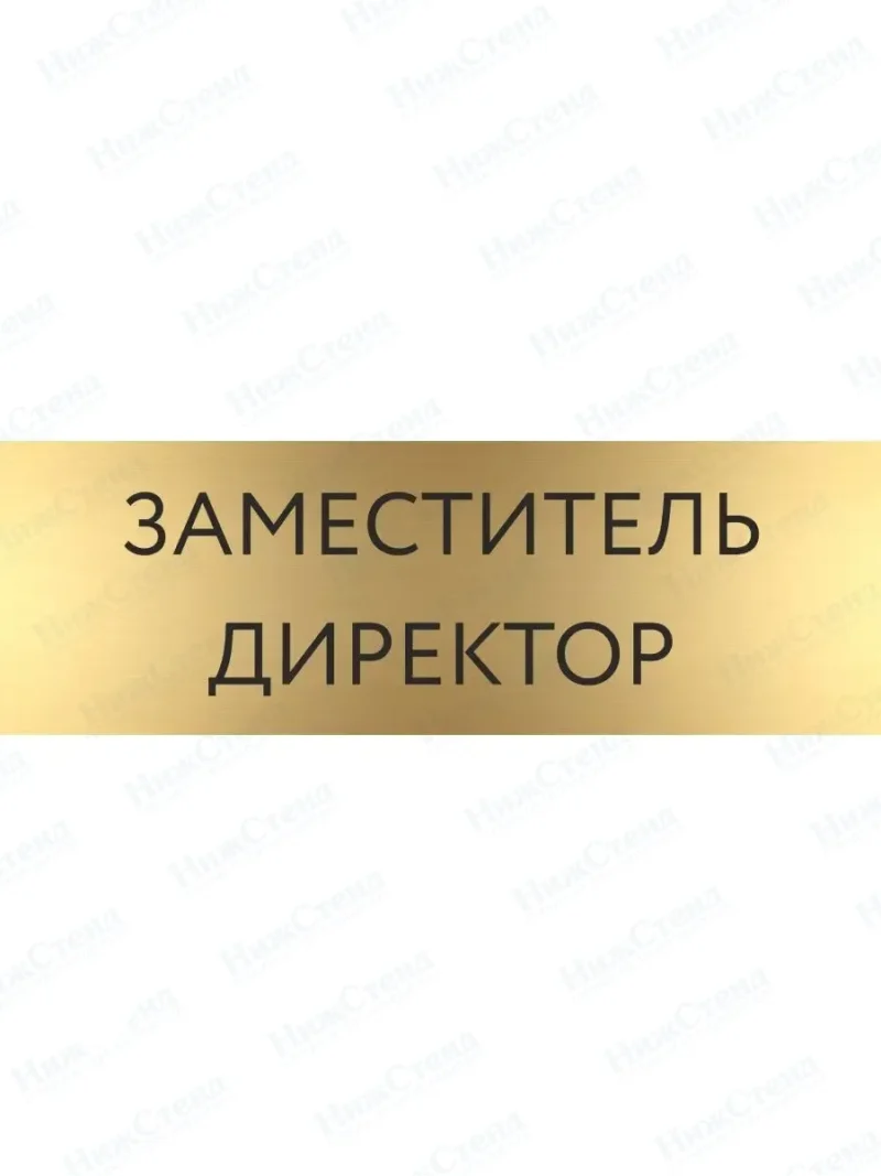 Табличка Заместитель директора на дверь кабинет стену золото