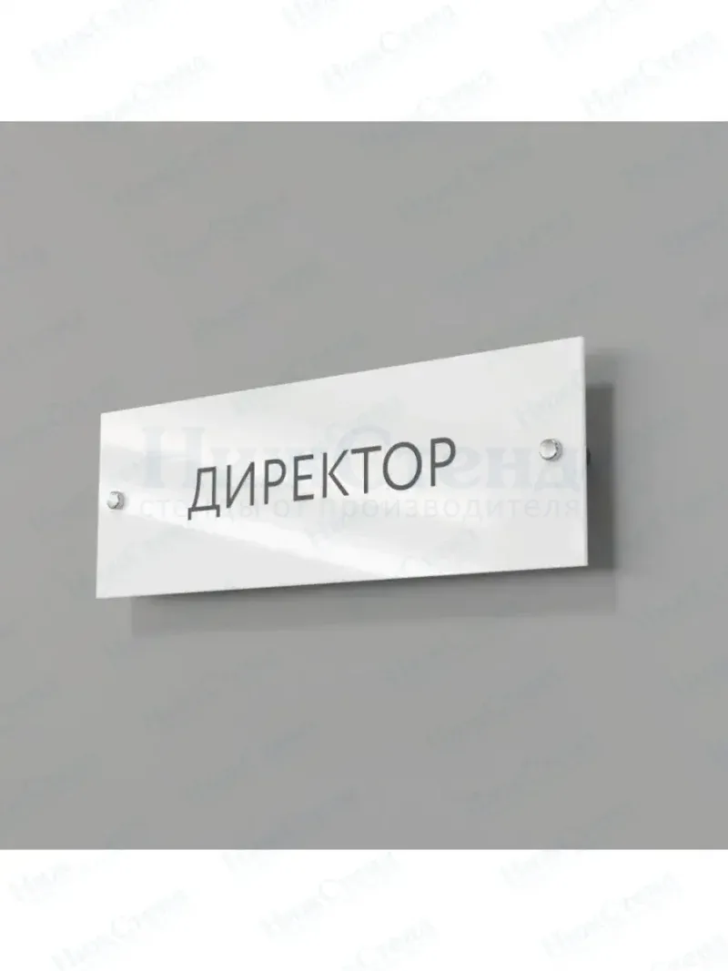 Директор
