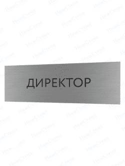 Табличка серебряная с острыми гранями "Директор"