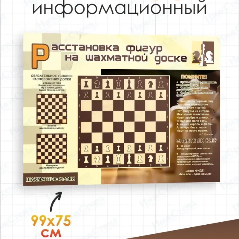 Стенд информационный Расстановка шахматных фигур — изображение 2