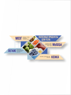 Стенд "Полезные продукты для тела"
