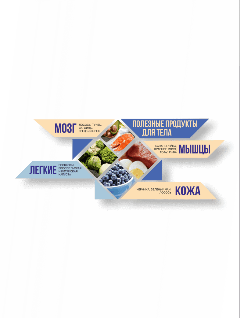 Стенд "Полезные продукты для тела"