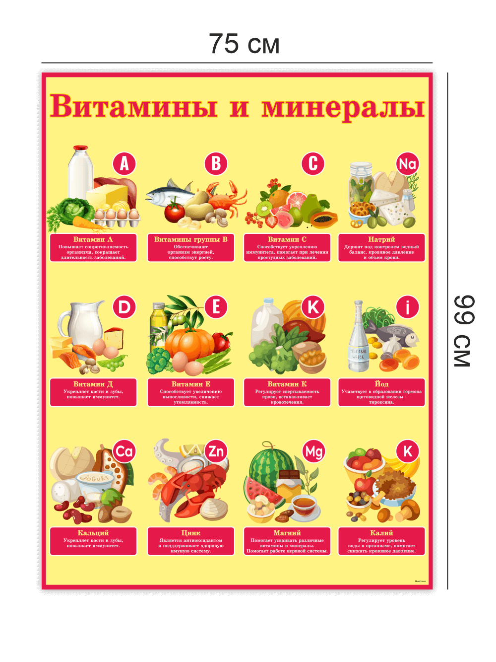 Стенд "Витамины и минералы" 4 Стенд "Витамины и минералы" — изображение 4