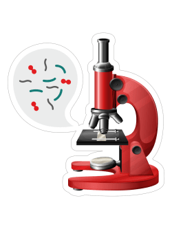 Декоративный элемент в кабинет химии, биологии