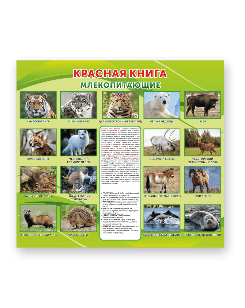 Стенд "Красная книга. Млекопитающие"