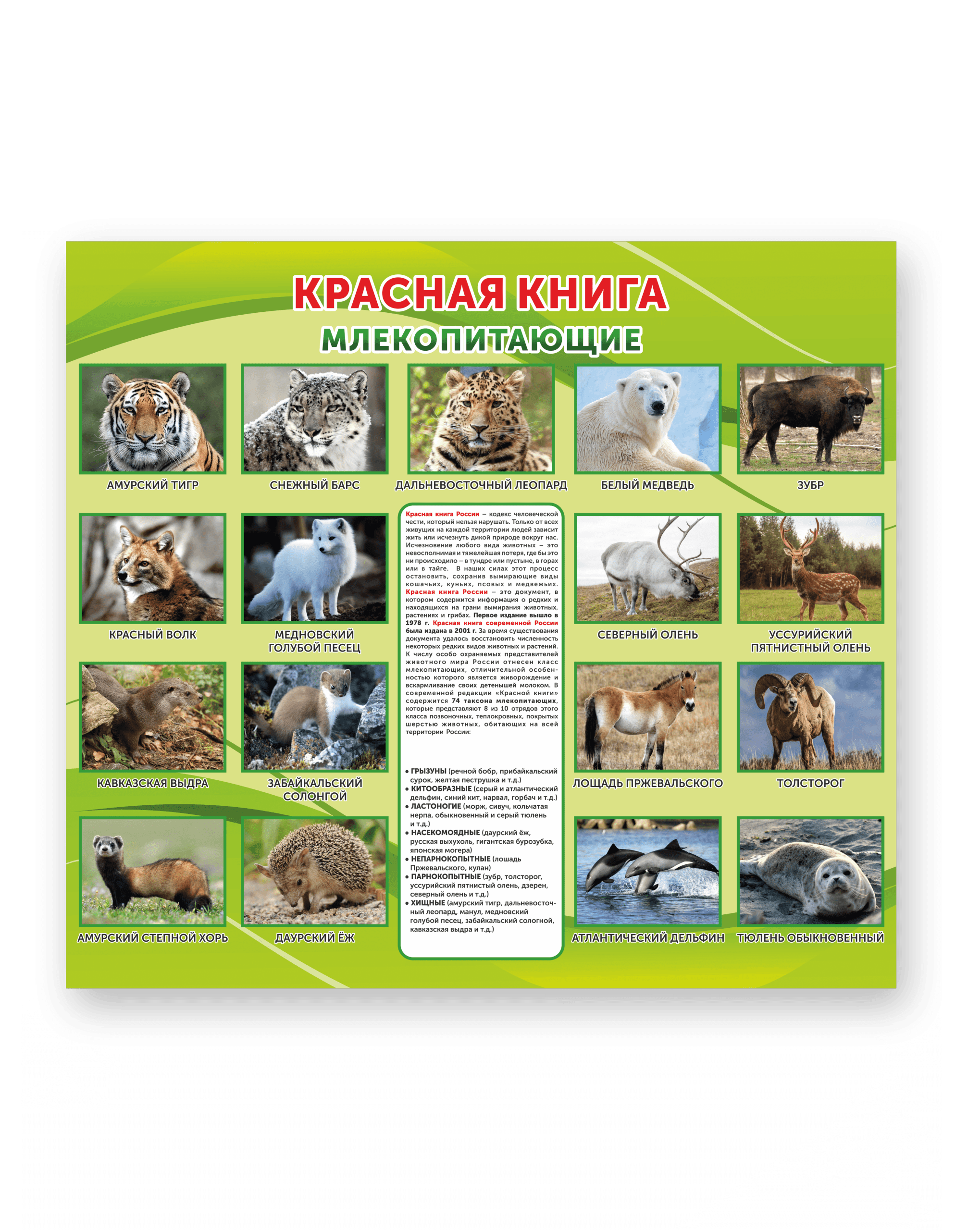 Стенд "Красная книга. Млекопитающие"