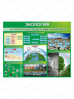 Стенд "Экология. Антропогенное воздействие на биосферу"