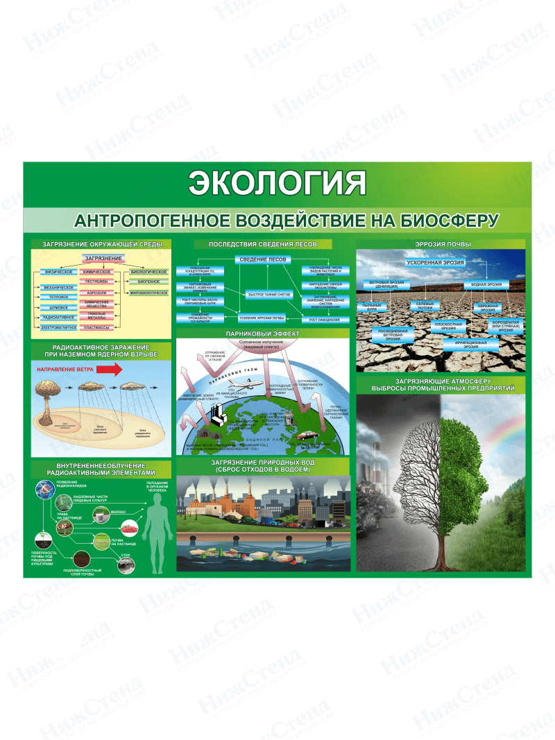 Стенд "Экология. Антропогенное воздействие на биосферу"