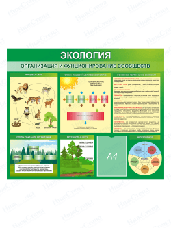 Стенд "Экология. Организация и функционирование сообществ"