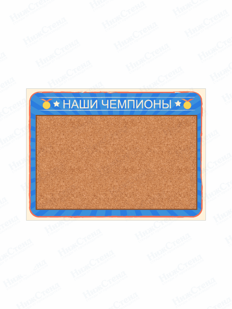 Стенд "Наши чемпионы"