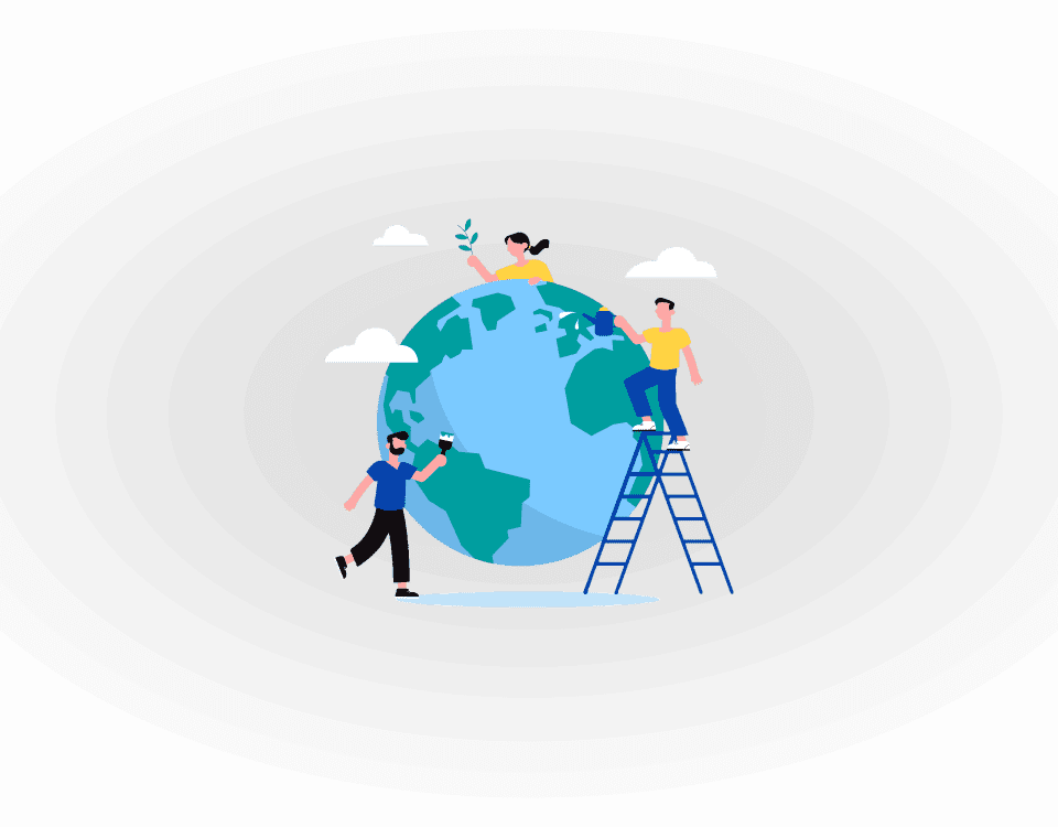 Информационные стенды по экологии: важность и применение в учебных заведениях