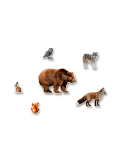 Ростовые фигуры "Лесные звери"