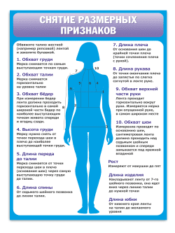 Стенд «Снятие размерных признаков» 75×99 см