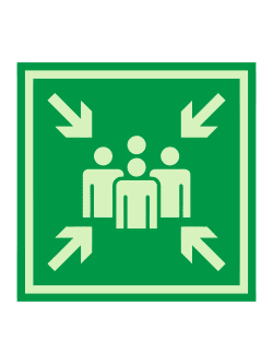 Е 21 — «Пункт (место) сбора», фотолюминесцентная