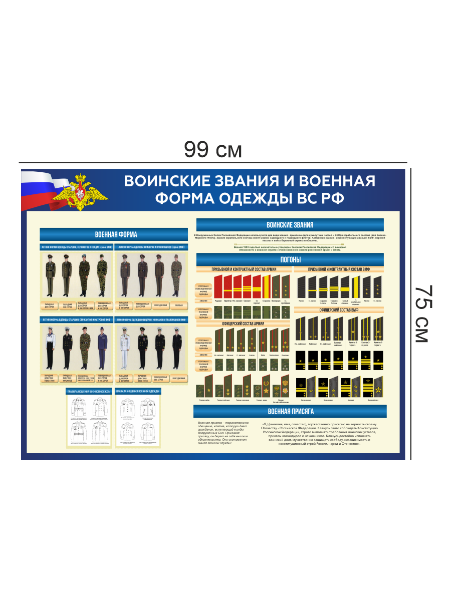 Стенд “Воинские звания и военная форма одежды ВС РФ” 99×75 см — изображение 4