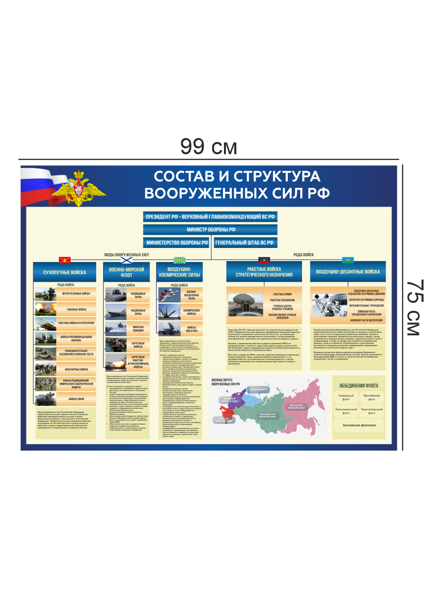Стенд “Состав и структура Вооружённых Сил РФ” 99×75 см — изображение 4