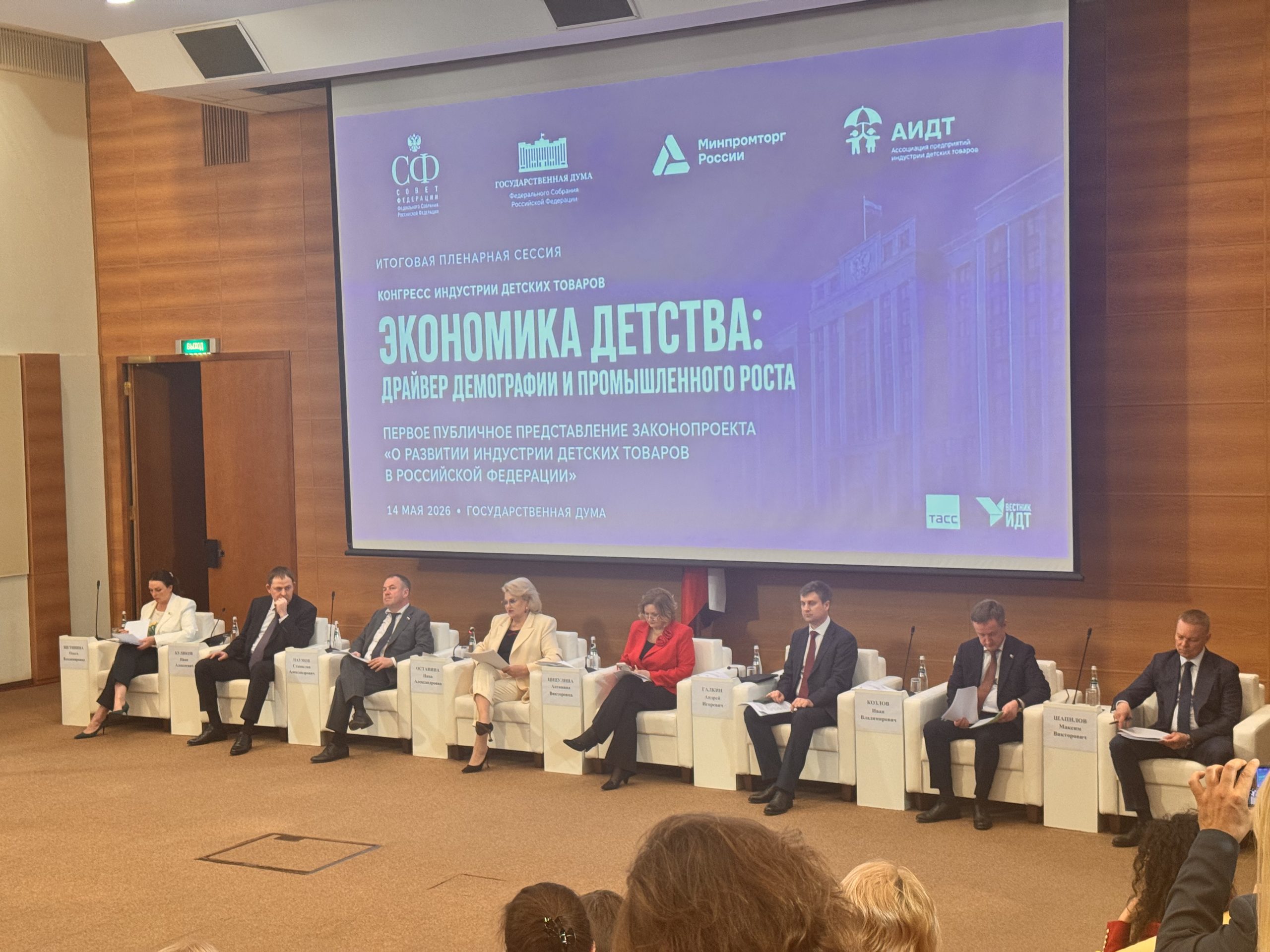 Пленарная сессия Экономика детства в Государственной Думе
