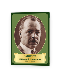 Вав1