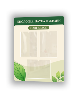 Наш класс1