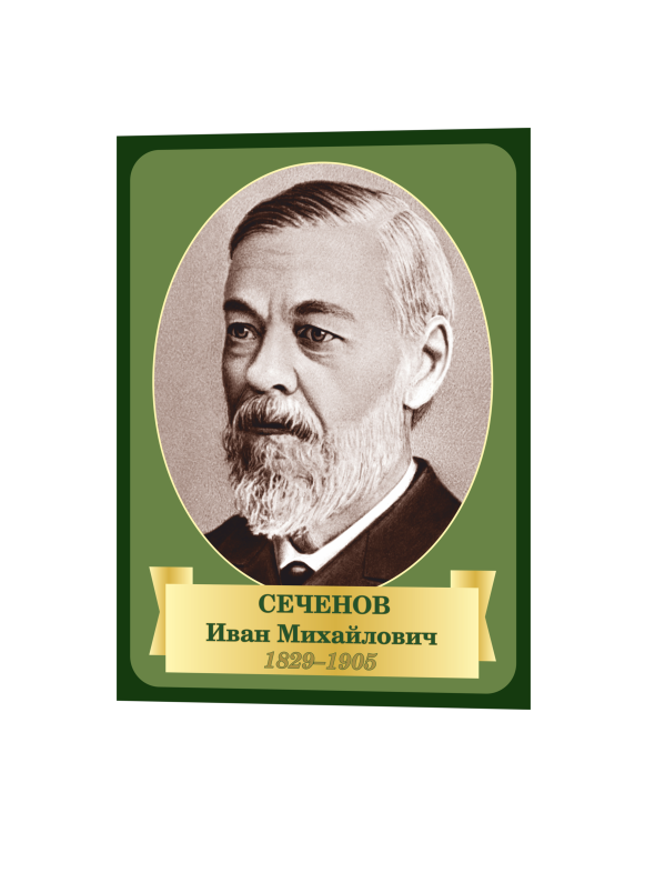 Стенд «Ученые – Сеченов» 1 Сеч13