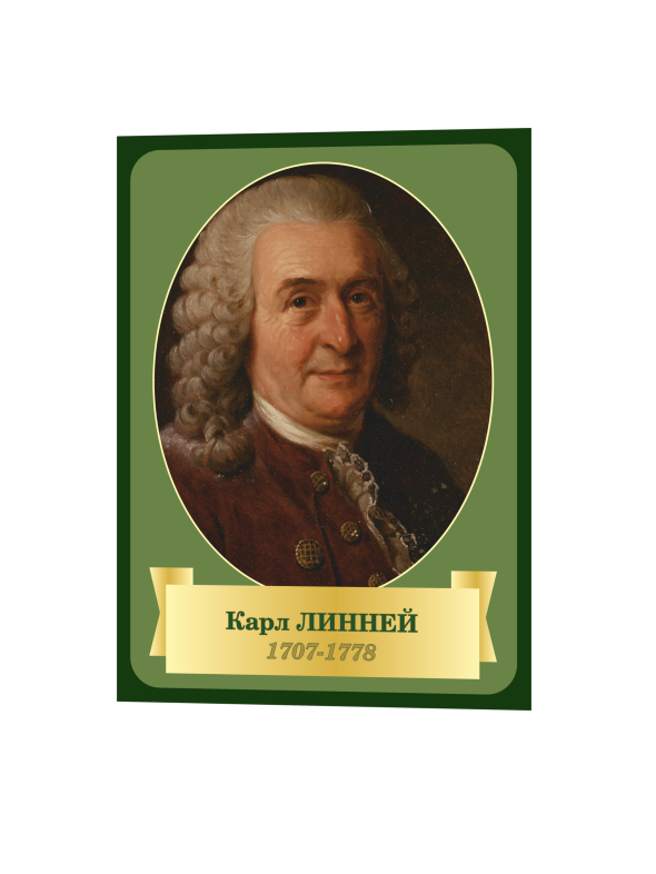 Стенд «Ученые – Линней» 1 1ли