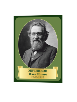 1меч