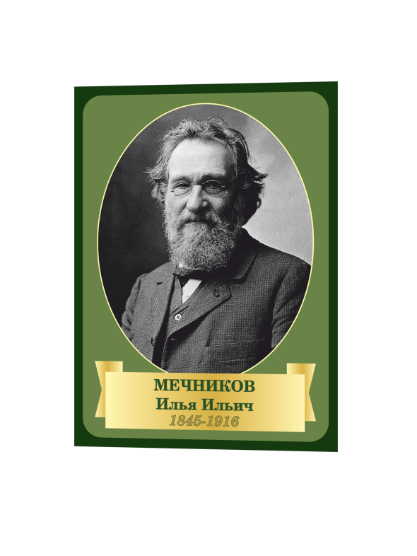 Стенд «Ученые – Мечников» 1 1меч
