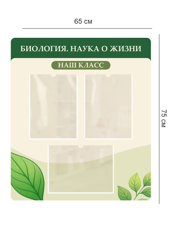 Стенд по биологии «Наш класс» 4 Наш класс3
