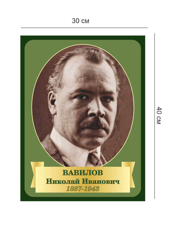 Стенд «Ученые – Вавилов» 4 Вав4