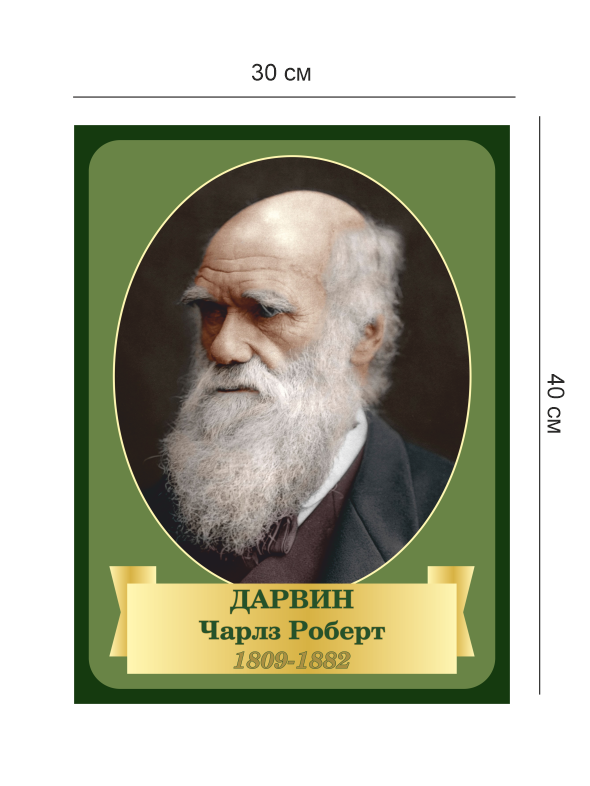 Стенд «Ученые – Дарвин» 4 Дар4
