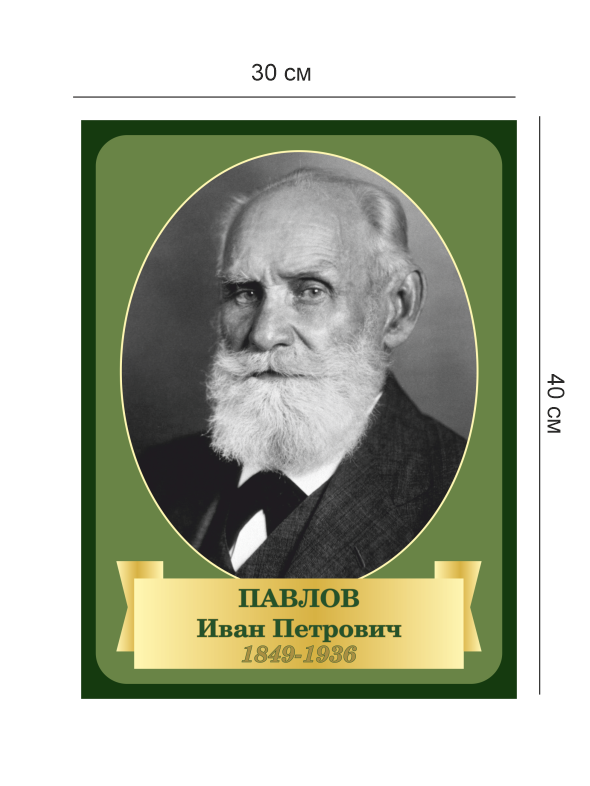 Стенд «Ученые – Павлов» 4 Пав4